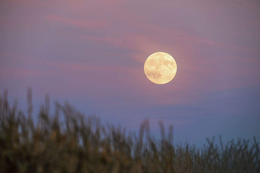 Are you excited about looking up at the night sky this fall? Have you already started? Don’t miss the Harvest and Hunter’s&nbsp;moons.